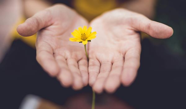Wellbeing